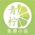 青柠免费阅读小说下载