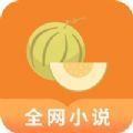 肉丸书吧下载