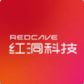 红洞数字藏品平台下载