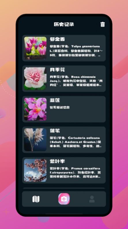 神农百草阁