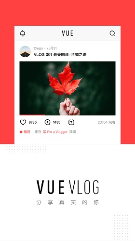 Vue Pro