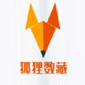 狐狸数藏图标