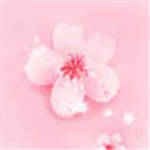 污片大全免费桃花岛