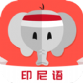 天天印尼语图标