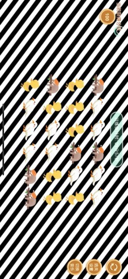 睛晶乐弱视宝典