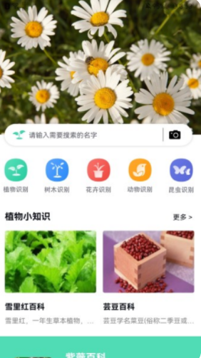 全能拍照识图