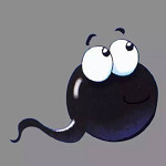 小蝌蚪app软件下载无限观看