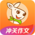 口袋鼠图标