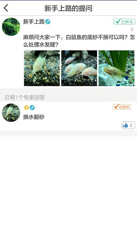 鱼医生