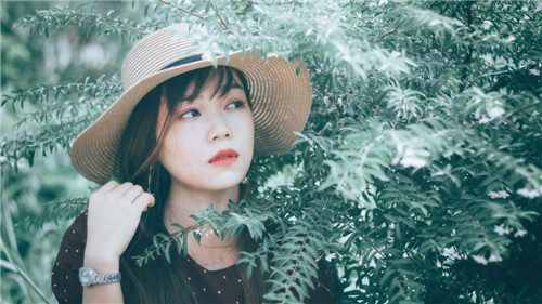 md传媒破解版下载安卓