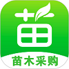 597苗木网下载