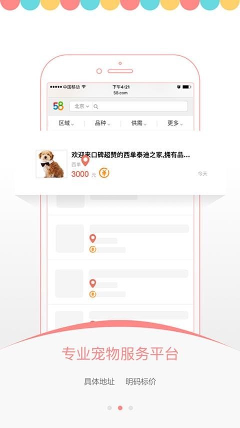 爱宠之家