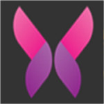 蜜芽跳转接口点击进入在线不下载