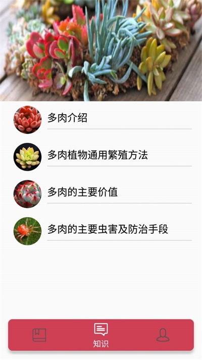 月亮多肉日记