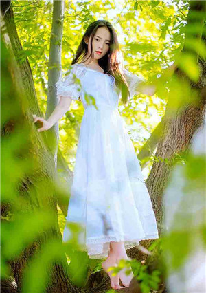 天堂WWW天堂网在线安卓版app中文版