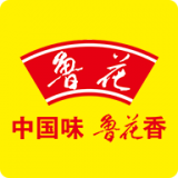 营销智网图标