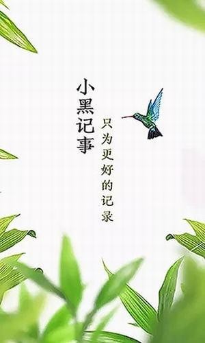 小黑记事