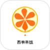 西柚科技图标