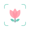 拍照识花助手图标
