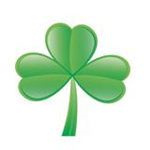 忘忧草社区www日本直播免费版