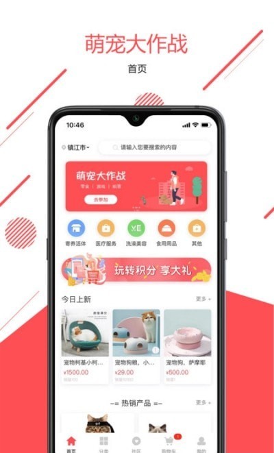 宠传奇