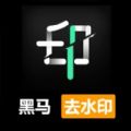 黑马去水印图标