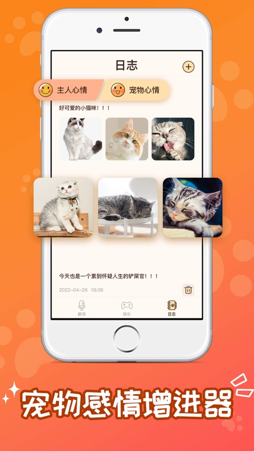 宠物养育日记