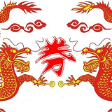 二龙网图标