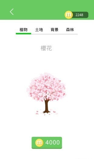 七色堇