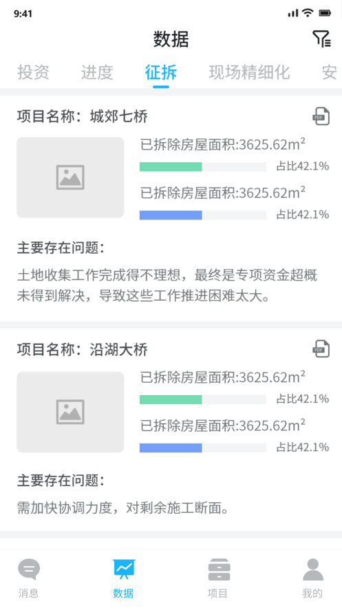城投项目管理