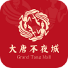 大唐不夜城图标