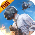 pubg国际服ikun直装