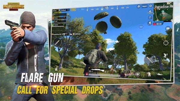 pubg国际服ikun直装