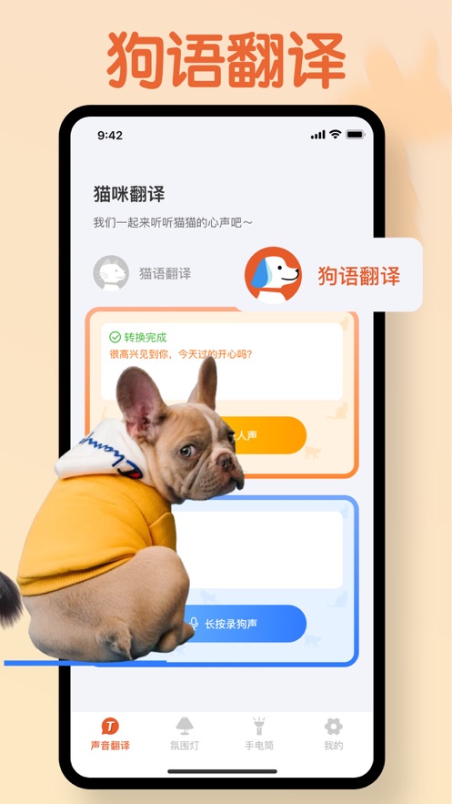 丘睿猫语翻译工具