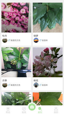 爱植拍