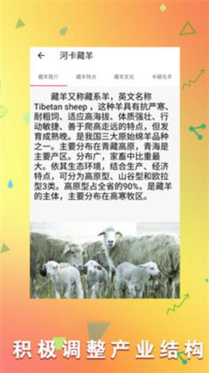 羊场专家