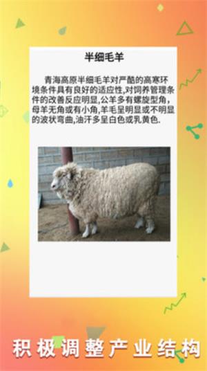 羊场专家