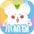 小植物图标