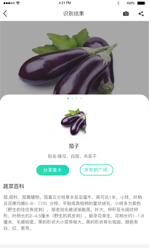 识菜君