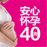 安心怀孕40周下载