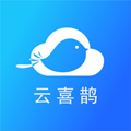 云喜鹊下载