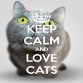 Keep Calm Love Cats Wallpapers下载