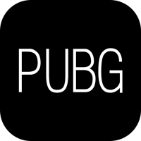pubg天白直装图标