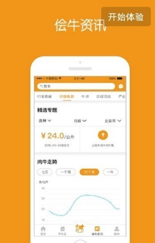 侩牛
