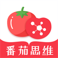 番茄思维数学图标