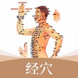 中医经络穴位图标