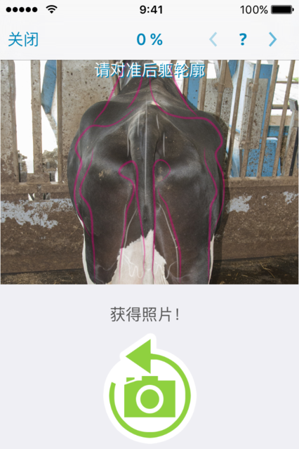 肉牛管理