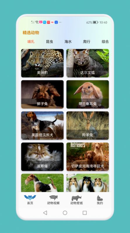 动物吧知识学习