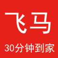 飞马到家图标