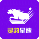 灵豹星速图标